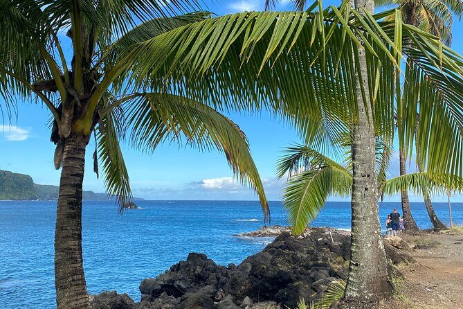 Rainforest Tour to Hana and Beyond - Waiʻanapanapa and Puaʻa Kaʻa: Black Sand Beach, Lava Tube, and Waterfall Swims
