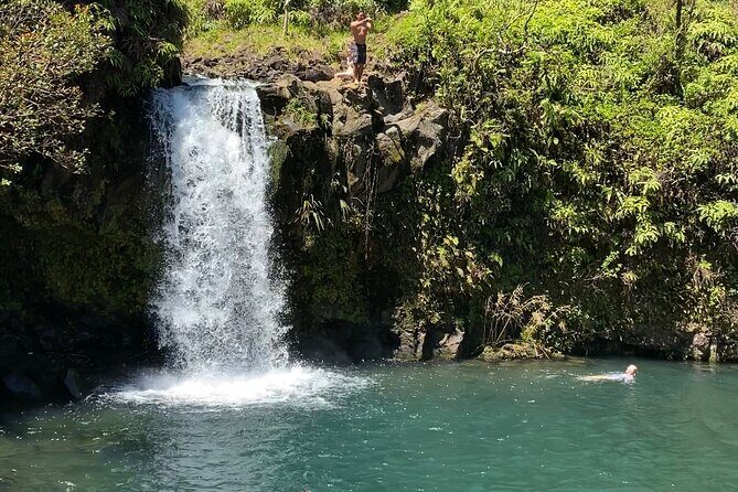 Rainforest Tour to Hana and Beyond - Hana Highway Stops: Rainbow Eucalyptus, Lookouts, and the Halfway Fruit Stand