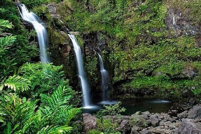 Road to Hana Deluxe Rainforest and Waterfall Experience from Oahu - Ho’okipa Beach Park: Jaws Waves and Photo Stops With Real Energy