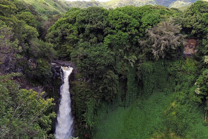 Road to Hana Full Day Tour with A Guide - Ke‘anae Arboretum: Rainbow Eucalyptus and a Rainforest Walk
