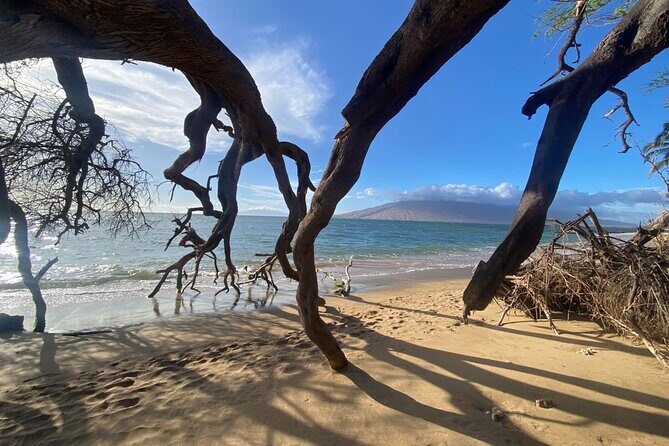 Road to Hana Maui Tours - Road to Hāna, minus the stress: what you’re really paying for