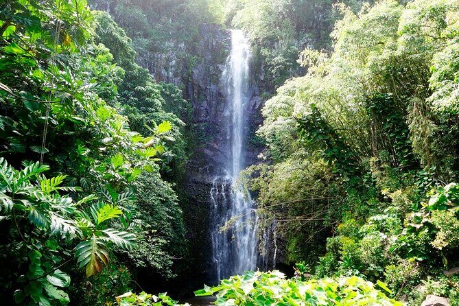 Road to Hana Rainforest, Black Sand Beach, Waterfalls & Lunch - Waterfalls and Quiet Pools: Twin Falls, Haipuaʻena, and More