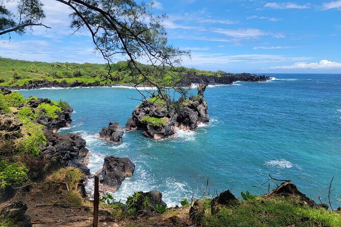 Road to Hana Rainforest, Black Sand Beach, Waterfalls & Lunch - Price and What Your $245.99 Actually Buys
