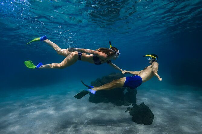 Scenic Coastal Adventure In 4x4 With Turtle Town Snorkel + Photos - Key highlights to know before you go