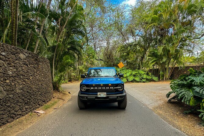 Scenic Coastal Adventure In 4x4 With Turtle Town Snorkel + Photos - Who should book this Turtle Town 4x4 + snorkel tour
