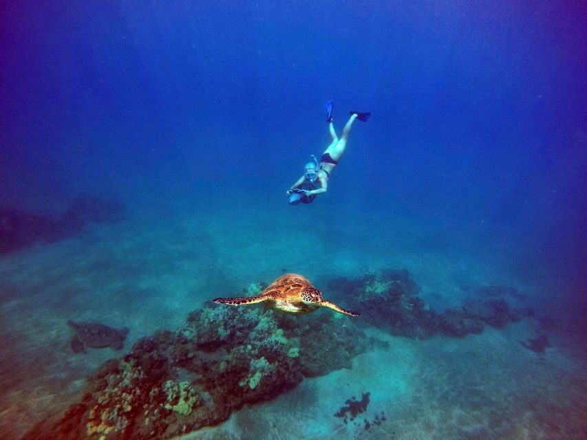 Sea Scooter Snorkeling Guided Tour - Wailea Beach - Key Points You’ll Actually Care About
