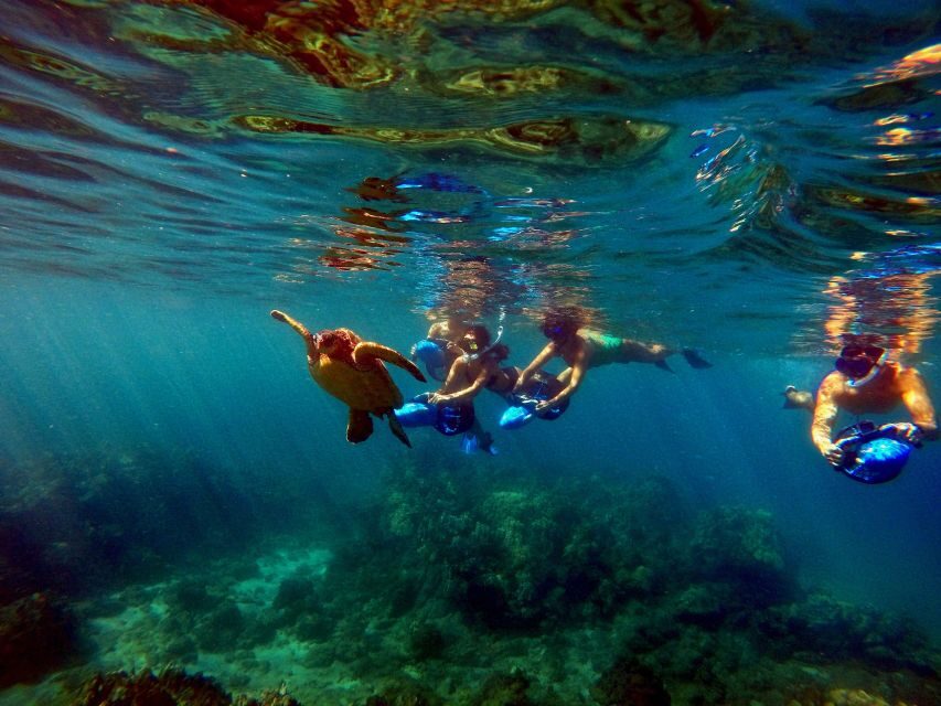 Sea Scooter Snorkeling Guided Tour - Wailea Beach - Gear and Clothing: What’s Included (and what you shouldn’t forget)