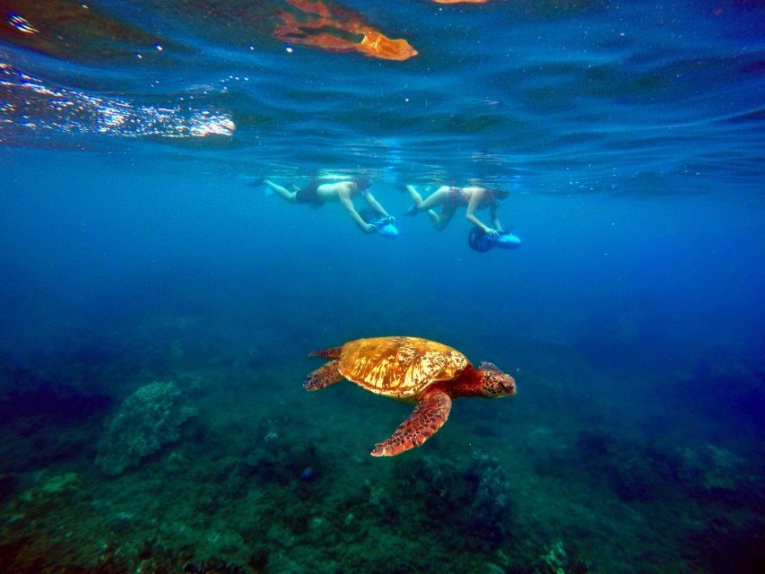 Sea Scooter Snorkeling Guided Tour - Wailea Beach - Price Check: Is $149 Worth It?