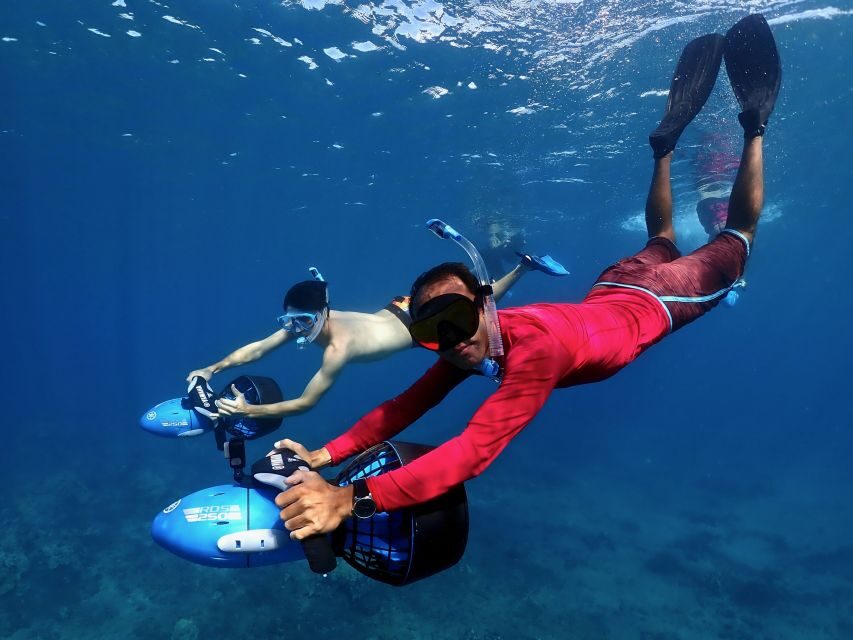 Sea Scooter Snorkeling Guided Tour - Wailea Beach - Real-World Tips from the Experience (So You Enjoy It More)