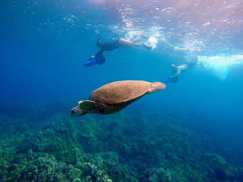 Sea Scooter Snorkeling Guided Tour - Wailea Beach - The 1.5-Hour Flow: Class, Short Cruise, Reef Time