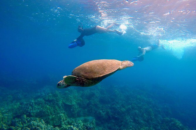 Sea Scooter Snorkeling Tour with GoPro - Wailea Beach - Check-in at 3894 Wailea Alanui Dr and your ocean safety talk