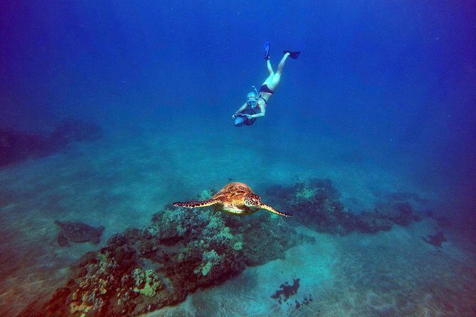Sea Scooter Snorkeling Tour with GoPro - Wailea Beach - Makena Bay highlights: Hawaiian green sea turtles and more