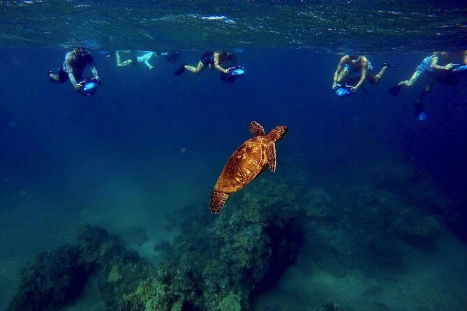 Sea Scooter Snorkeling Tour with GoPro - Wailea Beach - Gear and comfort: goggles that stay clear and wetsuit-top tips