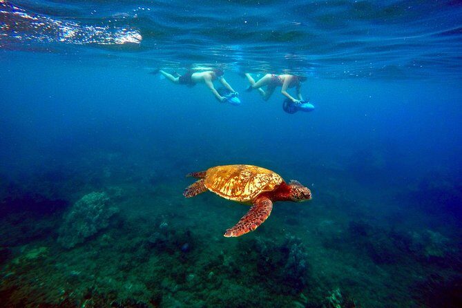 Sea Scooter Snorkeling Tour with GoPro - Wailea Beach - Two departures: 8 a.m. calm water or 9:10 a.m. for strong swimmers