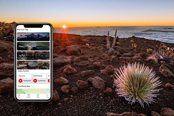 Self-Guided Audio Driving Tour in Maui - Wailea, Makena, and Honolua Bay: more coast than checklists