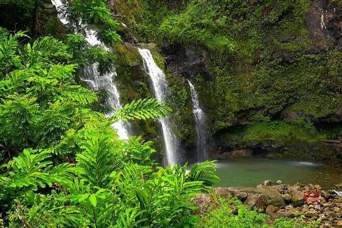 Self-Guided Audio Driving Tour in Road To Hana - Stop 4: Ho‘okipa for turtles (and why you shouldn’t swim)