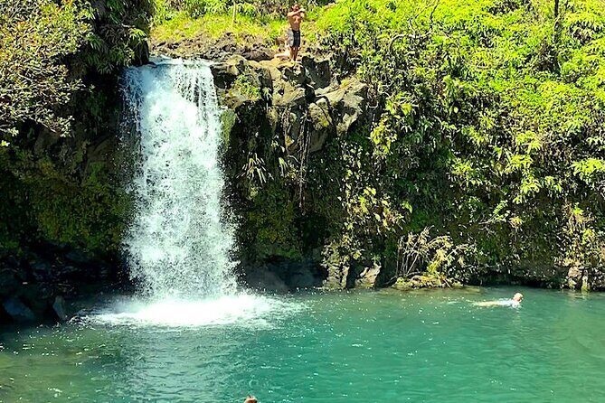 Shore Excursion of Maui - Price and what $220 buys you (beyond the van ride)