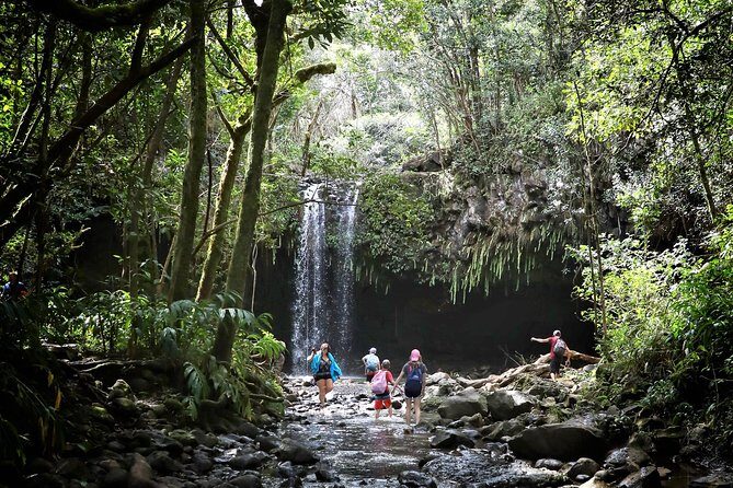 Small Group Waterfall and Rainforest Hiking Adventure on Maui - Rainforest hiking pace: moderate effort with real wet-foot terrain