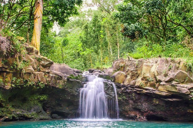 Small Group Waterfall and Rainforest Hiking Adventure on Maui - What to pack: shoes, towel, and walking poles if your ankles are picky