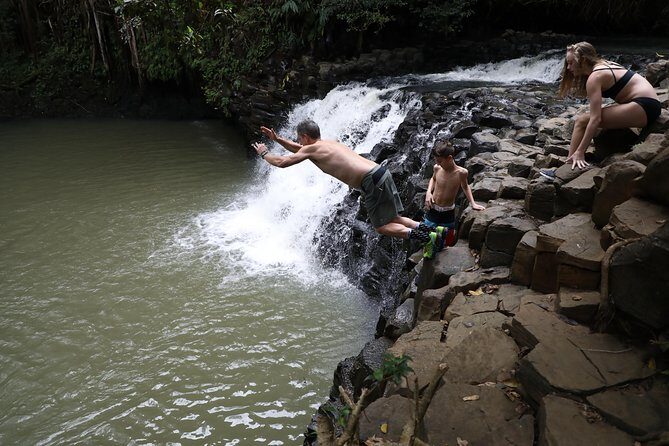 Small Group Waterfall and Rainforest Hiking Adventure on Maui - Price and value: $187.43 for guided waterfalls beats DIY stress