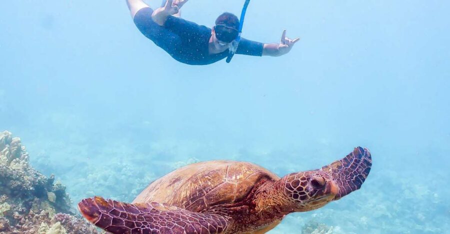 South Maui: Molokini Snorkeling Adventure - Key highlights to know before you go