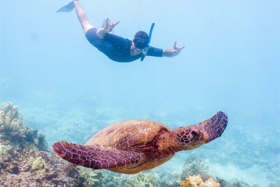 South Maui: Molokini Snorkeling Adventure - Getting on Calypso at Maalaea Harbor