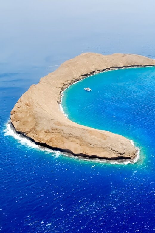 South Maui: Molokini Wild Eco Adventure from Maalaea Harbor - Key Things That Make This Tour Worth Your Time