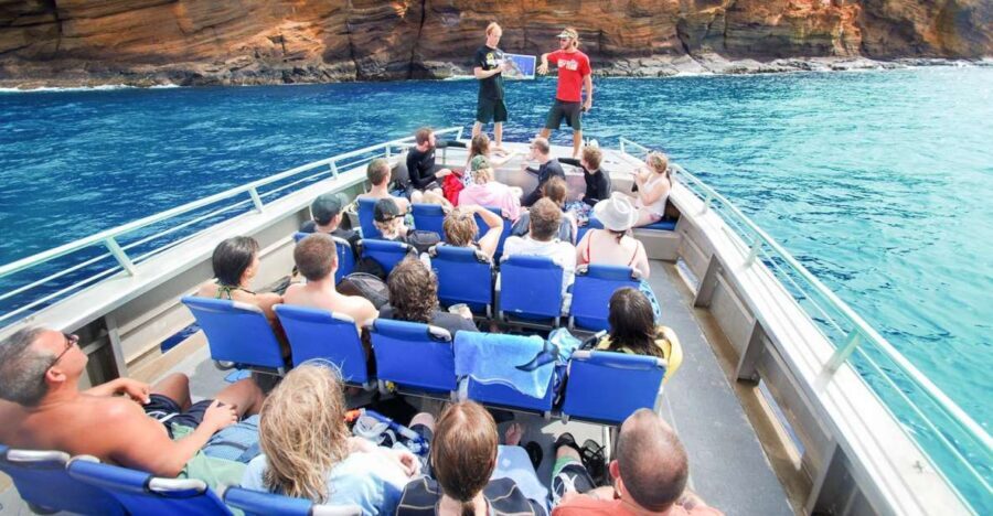 South Maui: Molokini Wild Eco Adventure from Maalaea Harbor - Maalaea Harbor Shops Start: Check-In Time and What to Bring