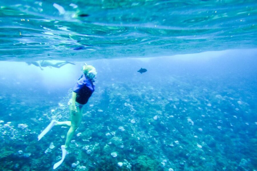 South Maui: Molokini Wild Eco Adventure from Maalaea Harbor - Stop 2 on Maui Waters: A Second Reef Stop Like Turtle Arches