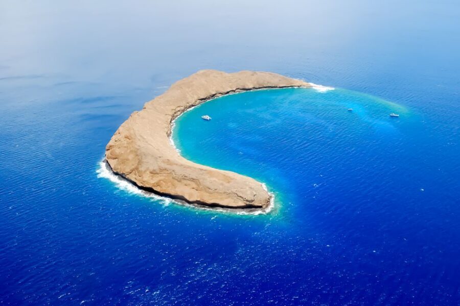 South Maui: Molokini Wild Eco Adventure from Maalaea Harbor - Ocean Explorer Catamaran Comfort: Open Seating and Room to Move