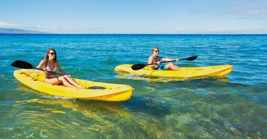 South Maui: Premium Turtle Town Kayak and Snorkel Tour - South Maui’s Turtle Town: why this paddle feels worth it