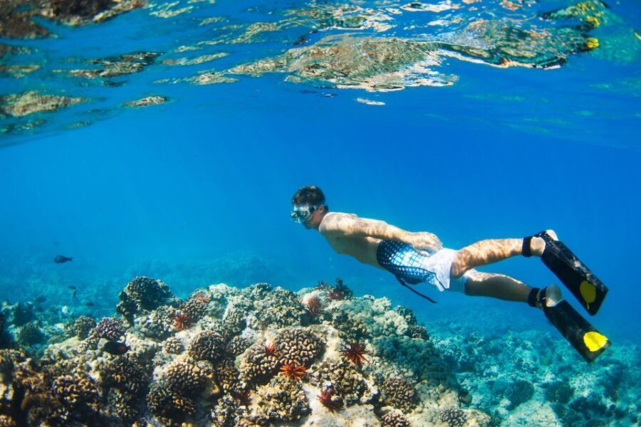 South Maui: Premium Turtle Town Kayak and Snorkel Tour - Getting oriented on day one: gear, safety, and real instructions