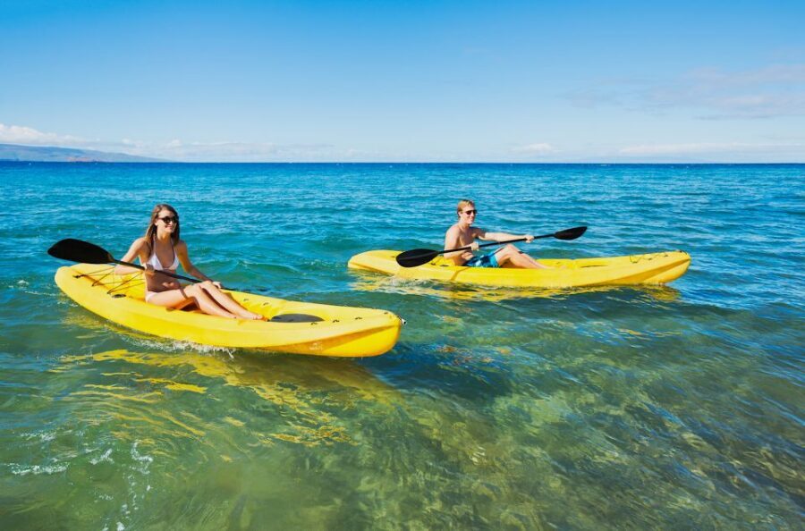 South Maui: Premium Turtle Town Kayak and Snorkel Tour - Turtle Town snorkeling: what to expect above and below the surface