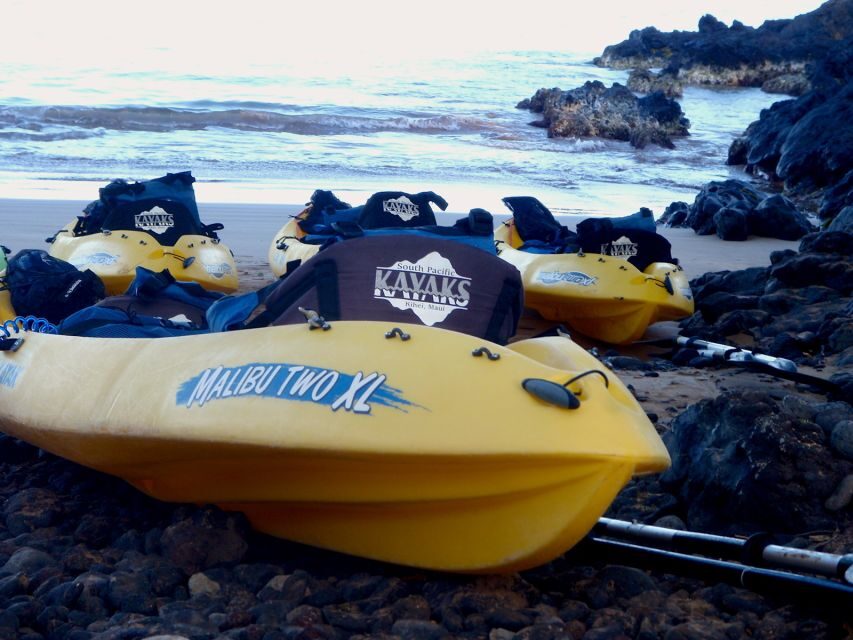 South Maui: Premium Turtle Town Kayak and Snorkel Tour - Winter whales from a kayak: the bonus that changes everything