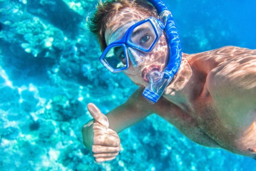 South Maui: Premium Turtle Town Kayak and Snorkel Tour - What to bring (and what not to forget) so you’re not miserable