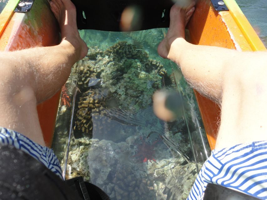 South Maui: Self Guided Clear Bottom Kayak Tour - The Fun Factor: Squirt Gun and Fish-ID Cards