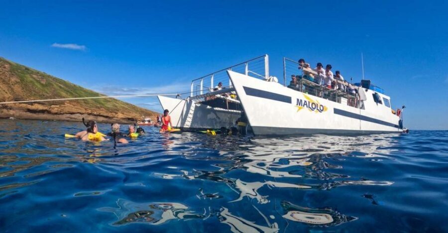 South Maui: Snorkel to Coral Gardens or Molokini Crater - Maalaea Bay: scenic cruising plus serious whale watching time
