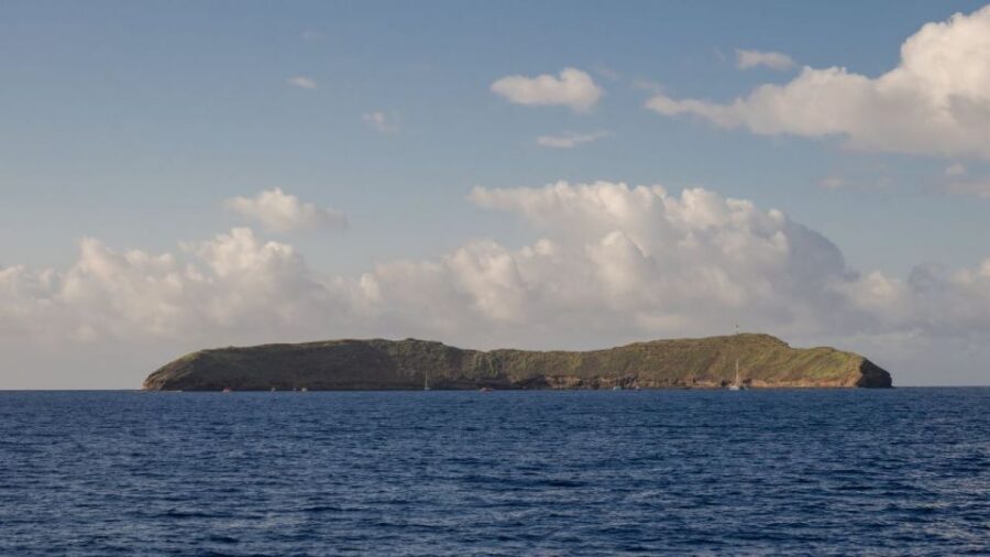 South Maui: Snorkel to Coral Gardens or Molokini Crater - Coral Gardens and Molokini: what “good snorkeling” actually looks like