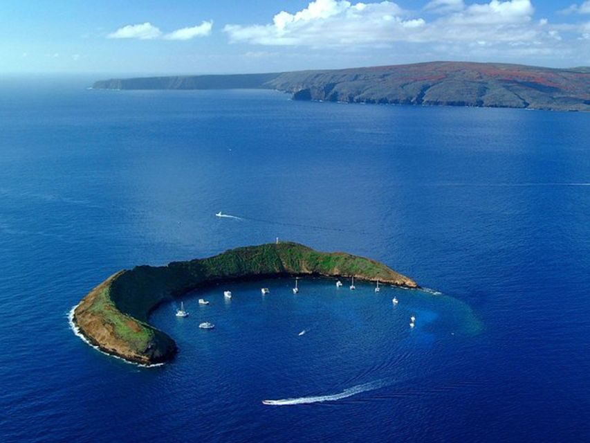 South Maui: Snorkel to Coral Gardens or Molokini Crater - The Malolo catamaran experience: food, drinks, and a calmer pace