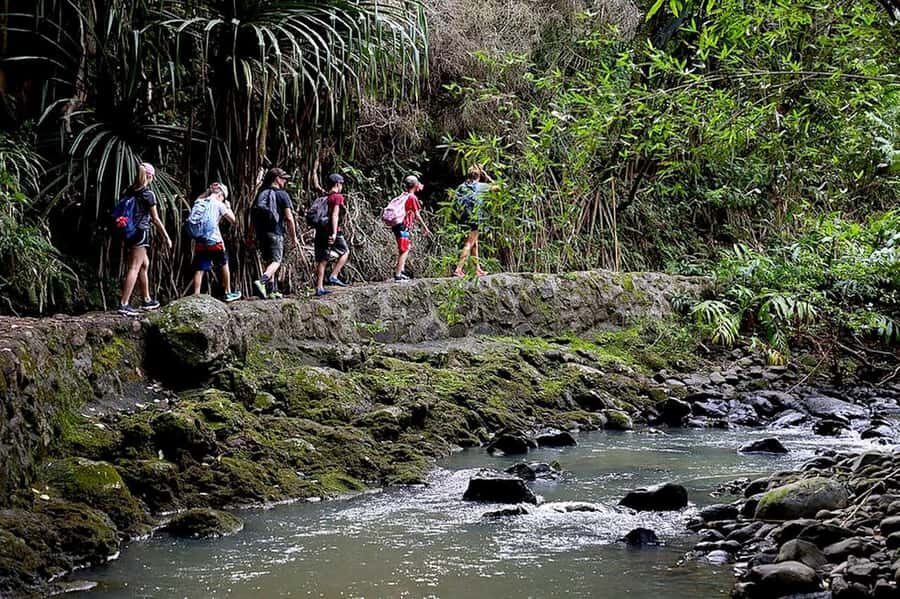 South Maui: Waterfall Tour w/ Kayak, Snorkel, and Hike - Lunch, snacks, and how the itinerary keeps moving