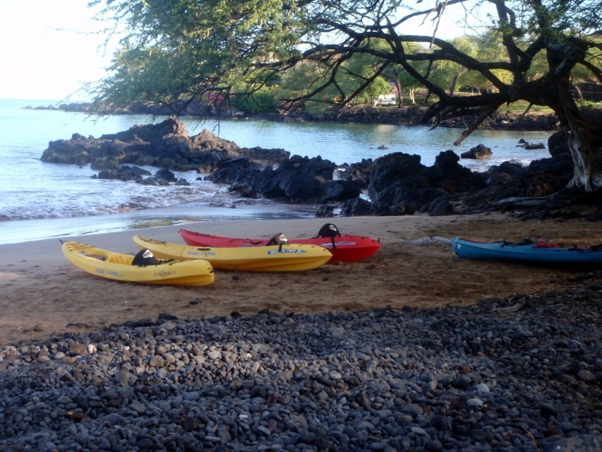 South Maui: Whale Watch Kayaking and Snorkel Tour in Kihei - Who This Tour Fits Best (and Who Should Think Twice)