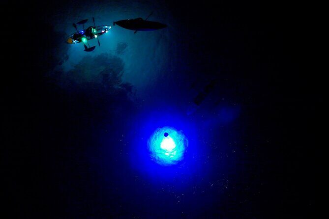 Sunset/Glow Clear Kayak Tour in Olowalu - Gear That Makes Night Kayaking Actually Work