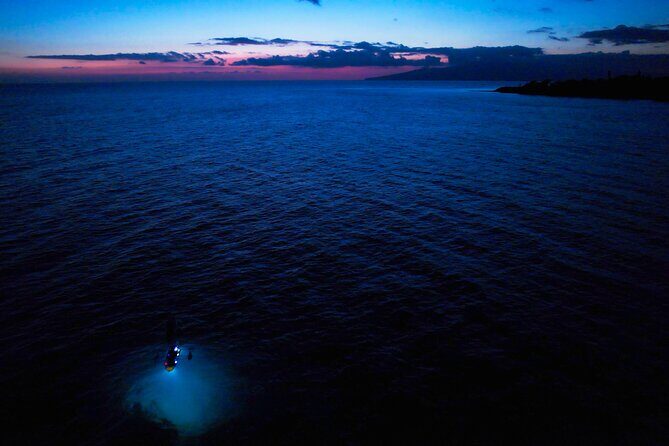 Sunset/Glow Clear Kayak Tour in Olowalu - What You’ll Actually Do During the 4 Hours