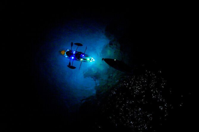Sunset/Glow Clear Kayak Tour in Olowalu - Price and Value: Why $239 Can Make Sense Here