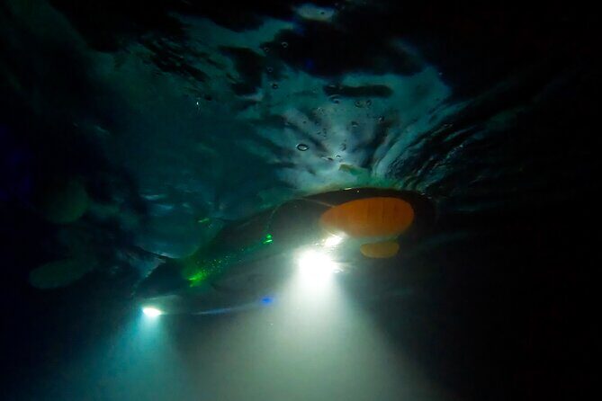 Sunset/Glow Clear Kayak Tour in Olowalu - Who This Sunset/Glow Tour Is Best For