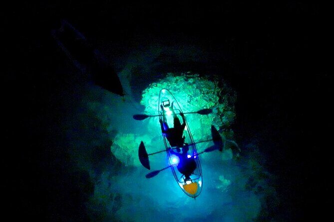 Sunset/Glow Clear Kayak Tour in Olowalu - The Night Menu: Shrimp, Plankton, and What Might Swim By