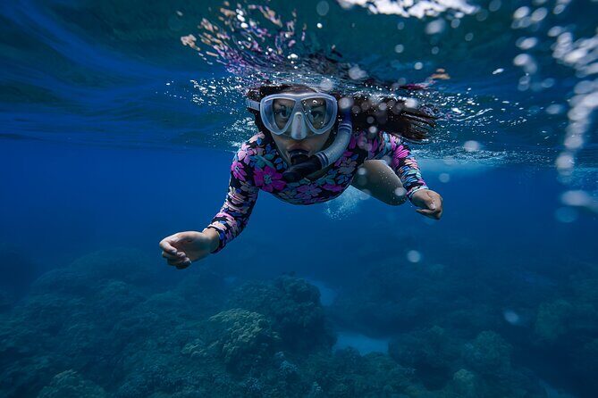 Sunset Glow Snorkel At Turtle Town With Photo & Video - Turtle Town at Dusk: Wildlife, Reef Details, and the Glow Effect