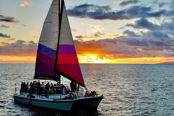 Sunset Sailing on a Floating Tiki Bar Charming Hawaiian Catamaran - Whale season reality check: how to watch for dolphins and humpbacks
