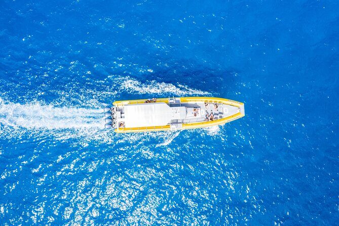 Super Raft - Private Charter Maui 3 Hour Snorkel to Coral Gardens or Molokini - Key things you’ll notice right away