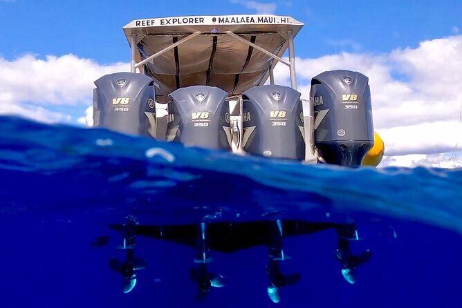 Super Raft - Private Charter Maui 3 Hour Snorkel to Coral Gardens or Molokini - Molokini day vs Coral Gardens day: what to expect in the water